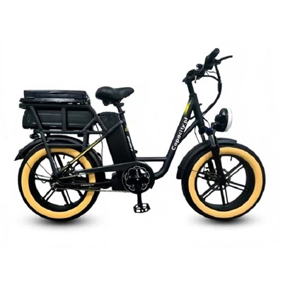 Bicicleta elèctrica estil ciclomotor de doble bateria de 48 V 26 Ah